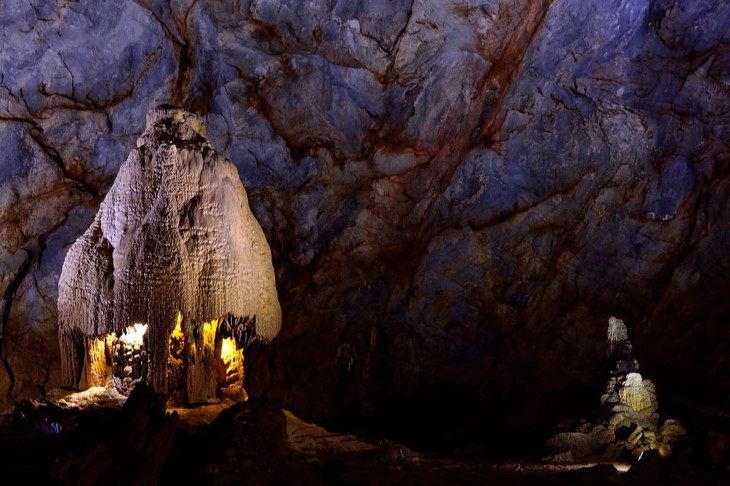   Le Parc national de Phong Nha-Kẻ Bàng, cadeau inestimable de la nature - ảnh 2